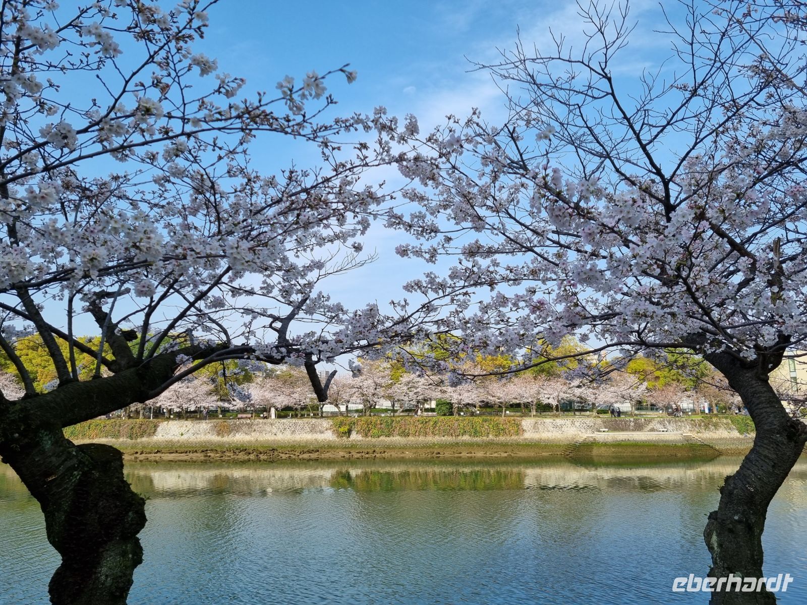 Hiroshima - Spaziergang entlang des Motoyasu-Flusses mit Blick auf den Friedenspark