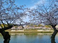 Hiroshima - Spaziergang entlang des Motoyasu-Flusses mit Blick auf den Friedenspark