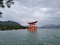 Insel Miyajima - 