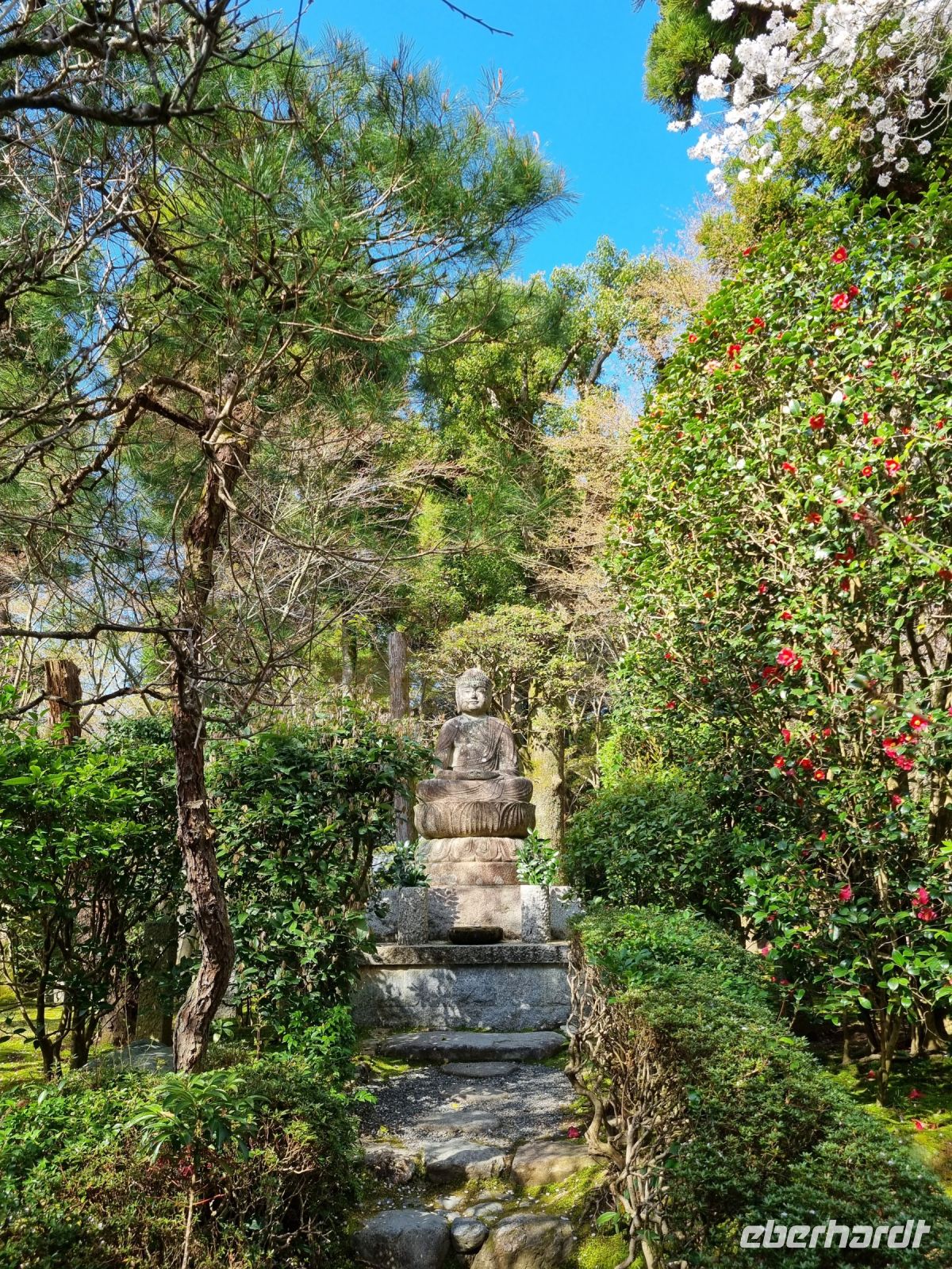 Kyoto - Garten des Ryoanji-Tempels (Buddha-Statue)