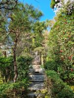 Kyoto - Garten des Ryoanji-Tempels (Buddha-Statue)