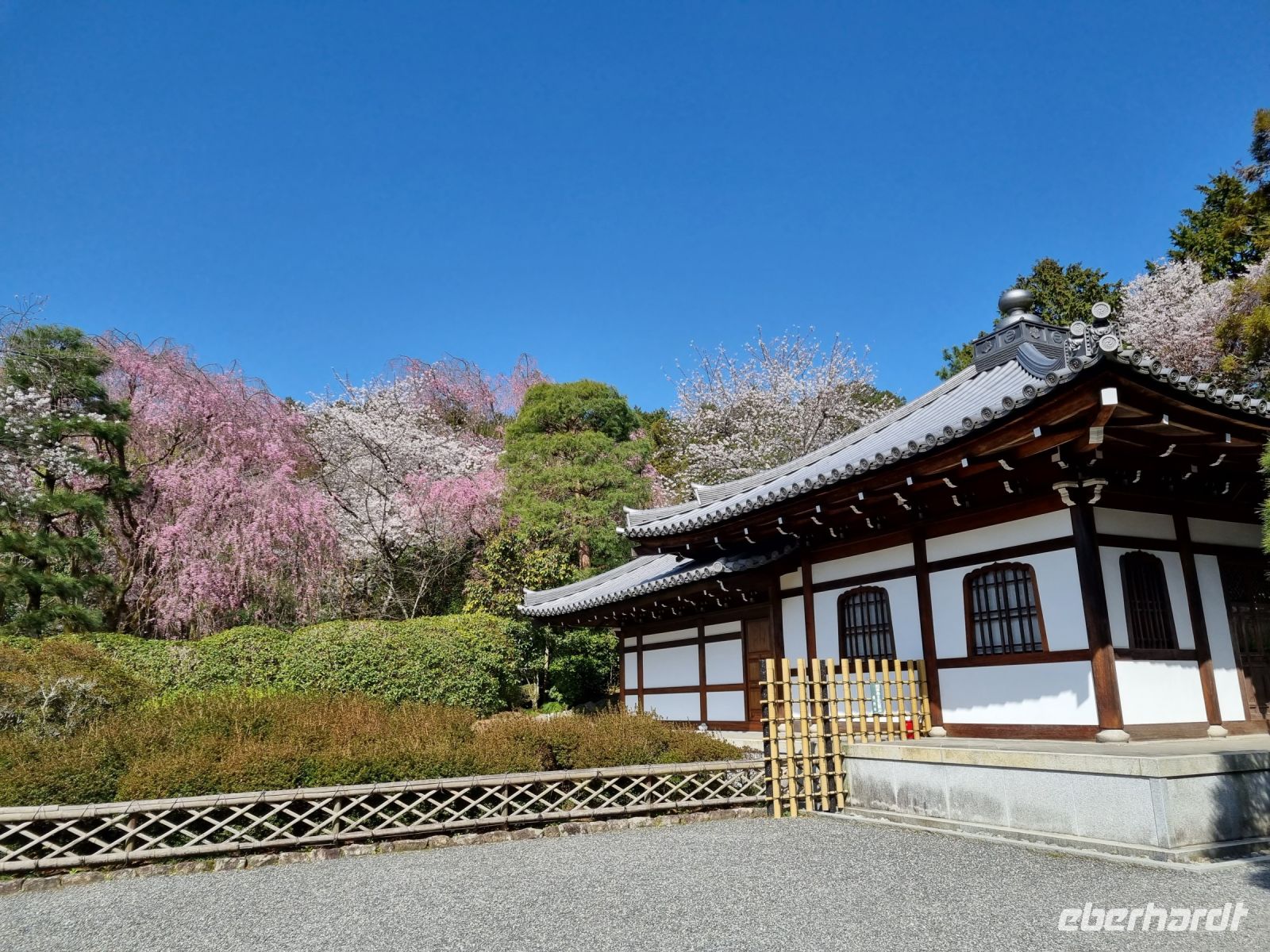 Kyoto - Garten des Ryoanji-Tempels