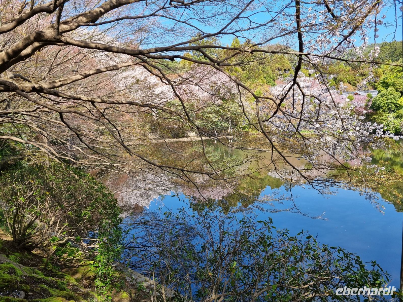 Kyoto - Garten des Ryoanji-Tempels