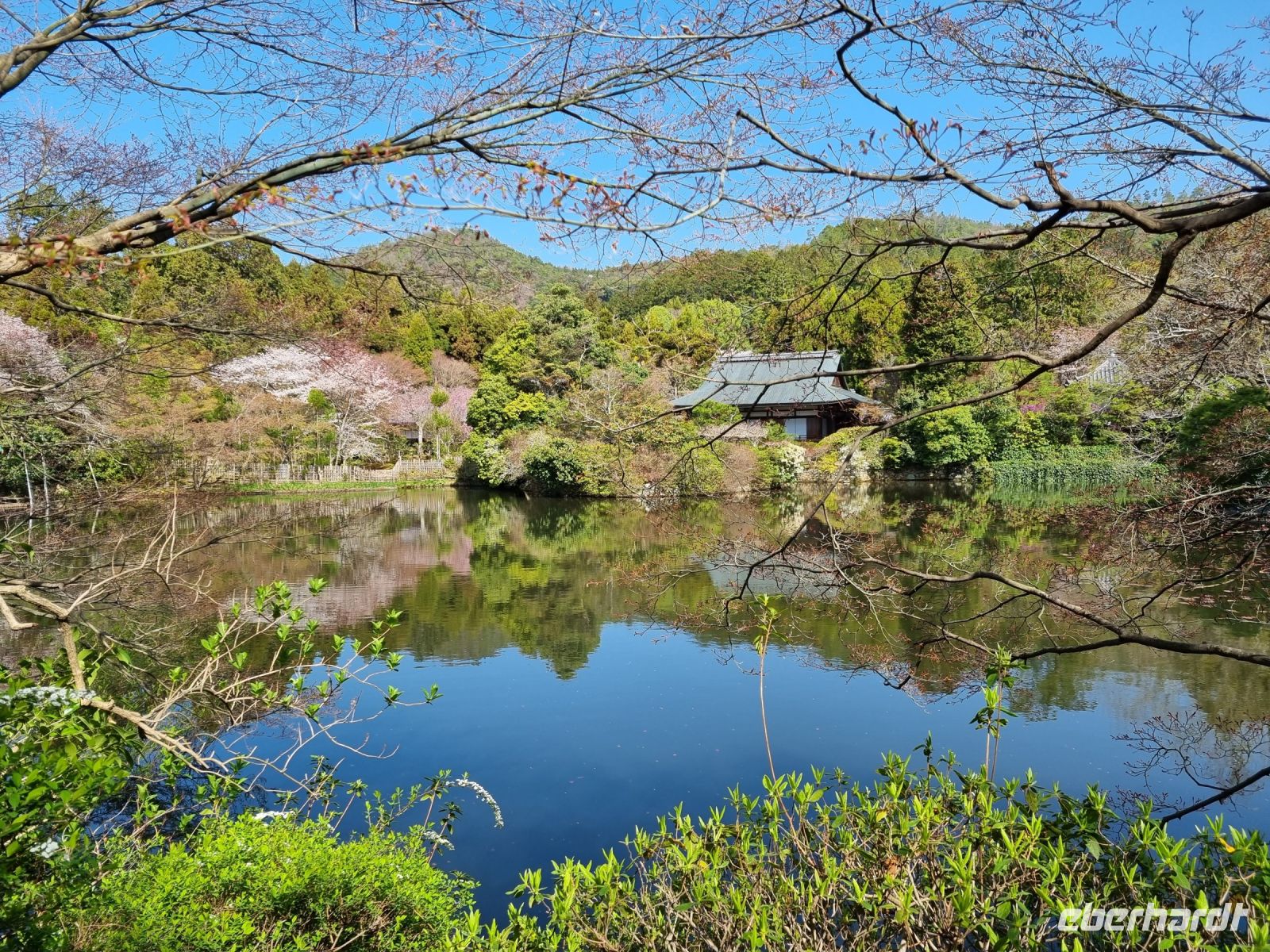 Kyoto - Garten des Ryoanji-Tempels