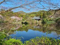 Kyoto - Garten des Ryoanji-Tempels