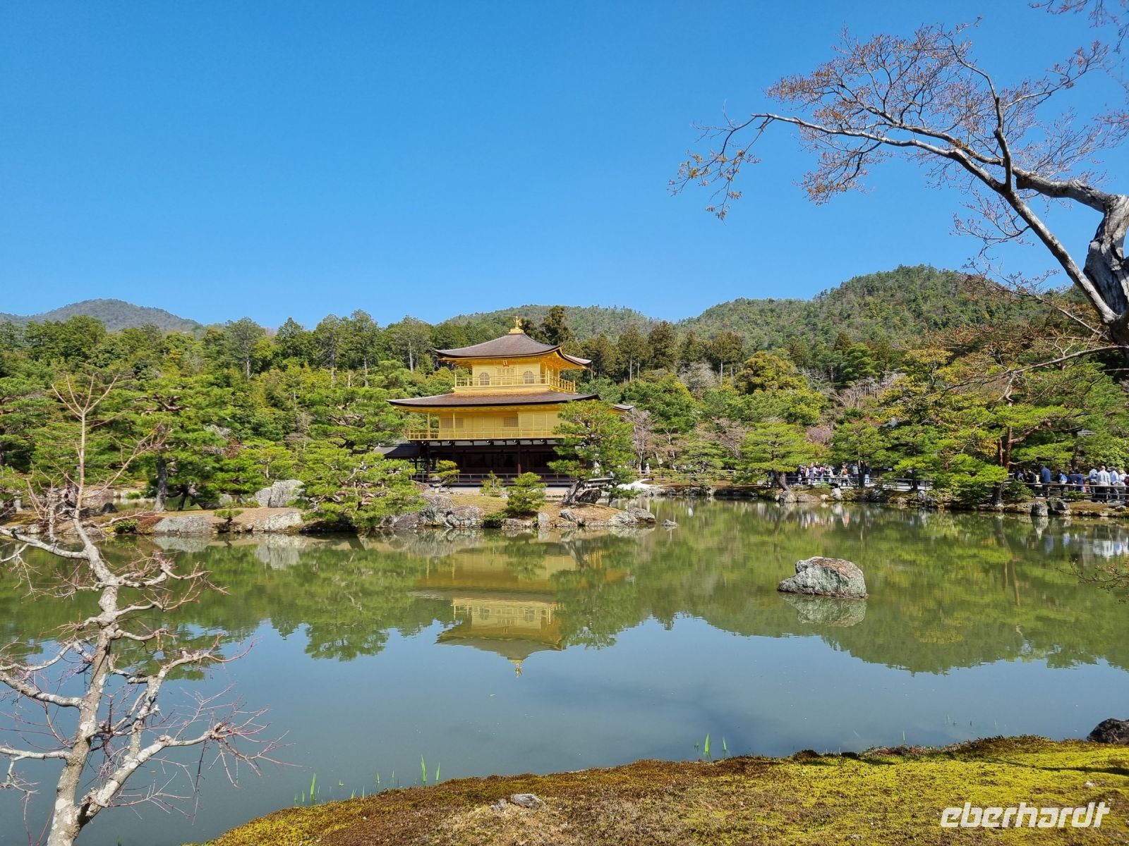 Kyoto - Kinkakuji-Tempel (Goldener Pavillon)