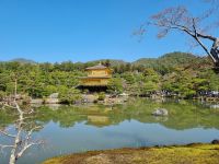 Kyoto - Kinkakuji-Tempel (Goldener Pavillon)
