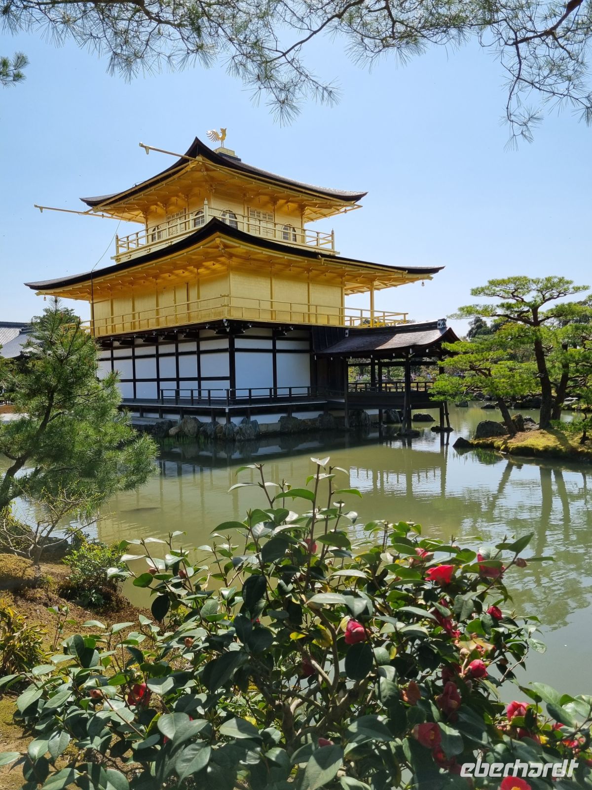 Kyoto - Rückseite des Kinkakuji-Tempels (Goldener Pavillon)