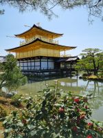 Kyoto - Rückseite des Kinkakuji-Tempels (Goldener Pavillon)
