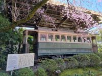 Kyoto - Garten des Heian-Schreins mit Kirschblüte (eine der ersten elektrischen Straßenbahnen Japans)