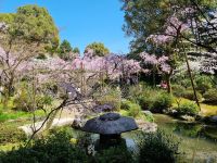 Kyoto - Garten des Heian-Schreins