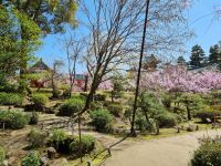 Kyoto - Garten des Heian-Schreins