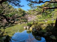 Kyoto - Garten des Heian-Schreins