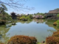 Kyoto - Garten des Heian-Schreins
