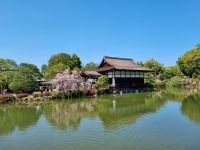 Kyoto - Garten des Heian-Schreins