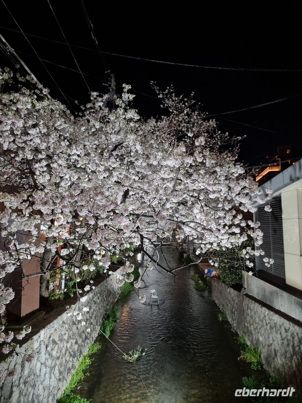 Kyoto - Abendspaziergang...