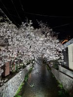 Kyoto - Abendspaziergang...