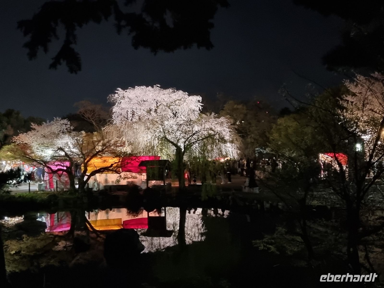 Kyoto - Abendspaziergang durch den Maruyama-Park 