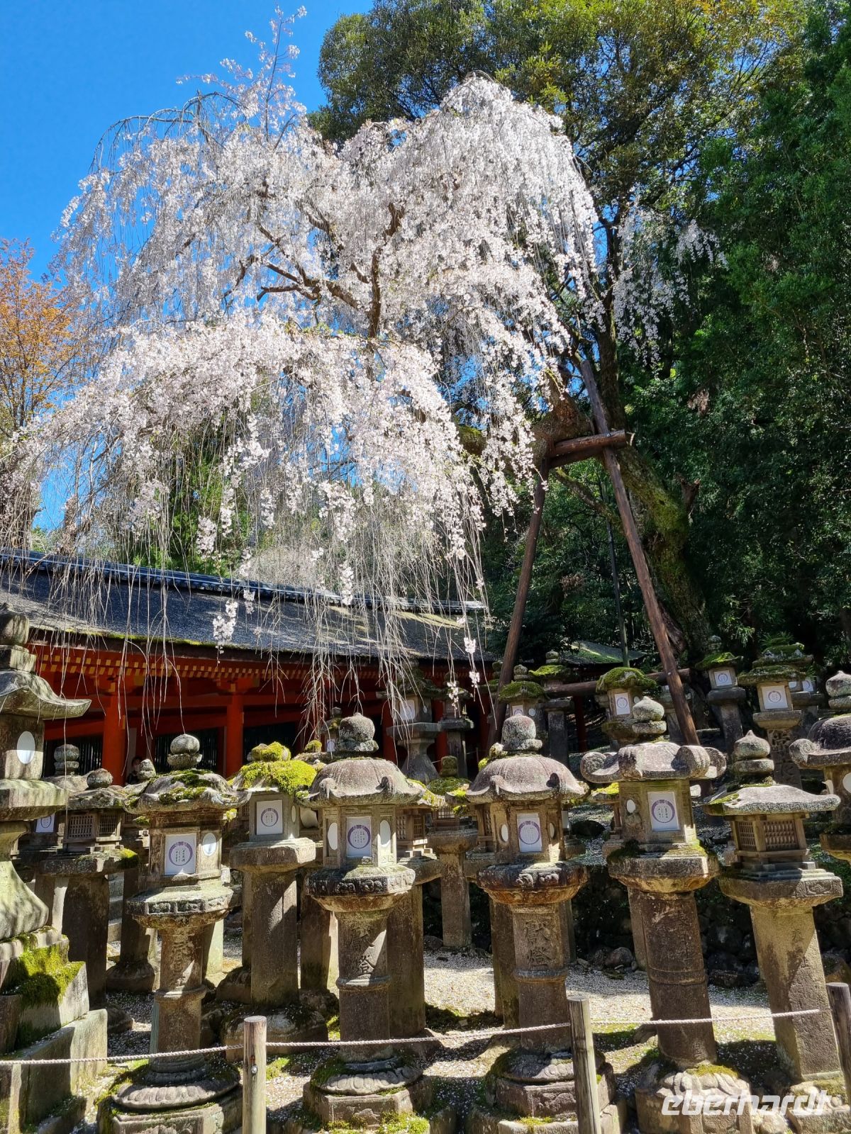 Nara - Kasuga-Taisha-Schrein