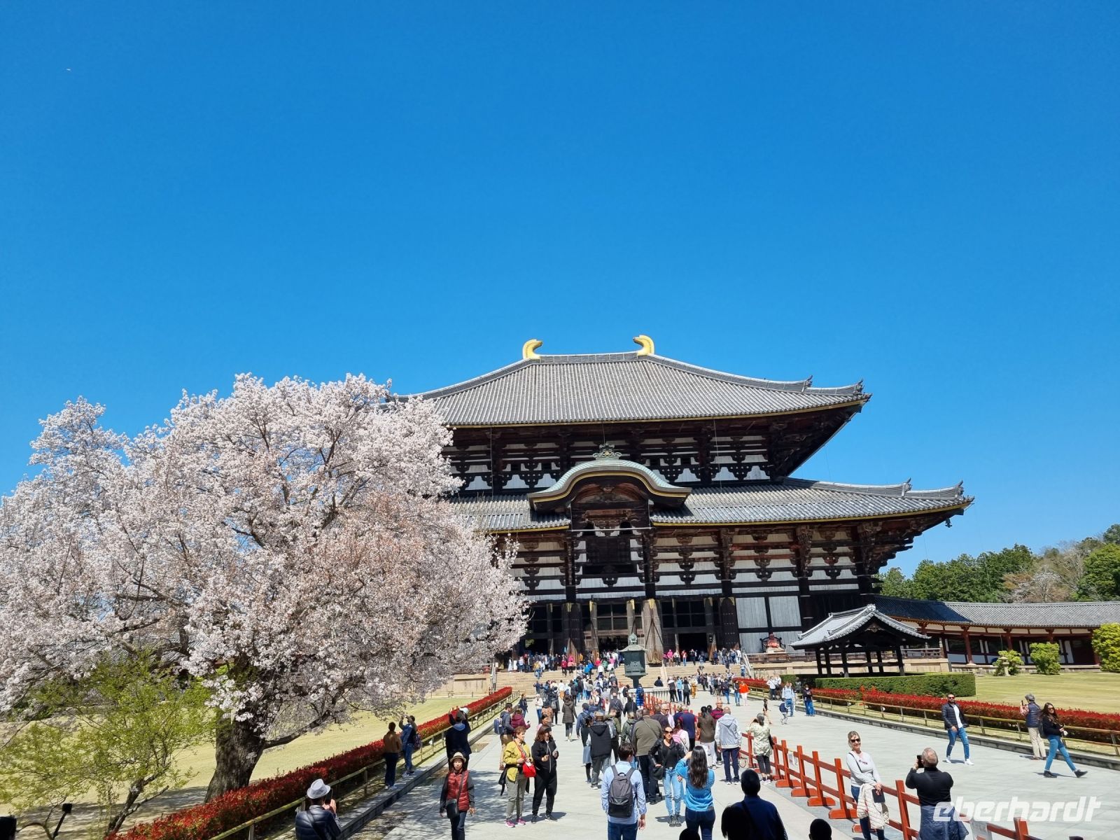 Nara - Todaiji-Tempel
