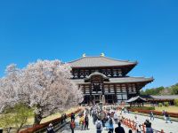 Nara - Todaiji-Tempel