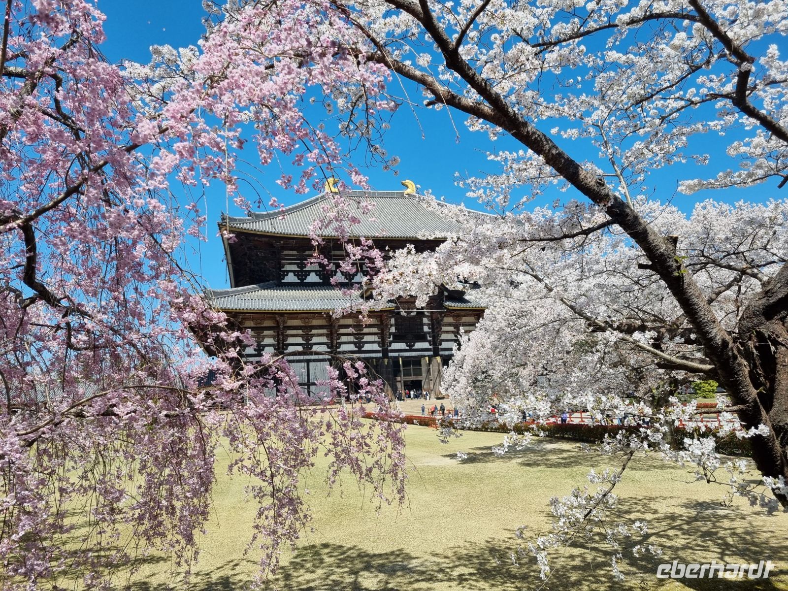 Nara - Todaiji-Tempel