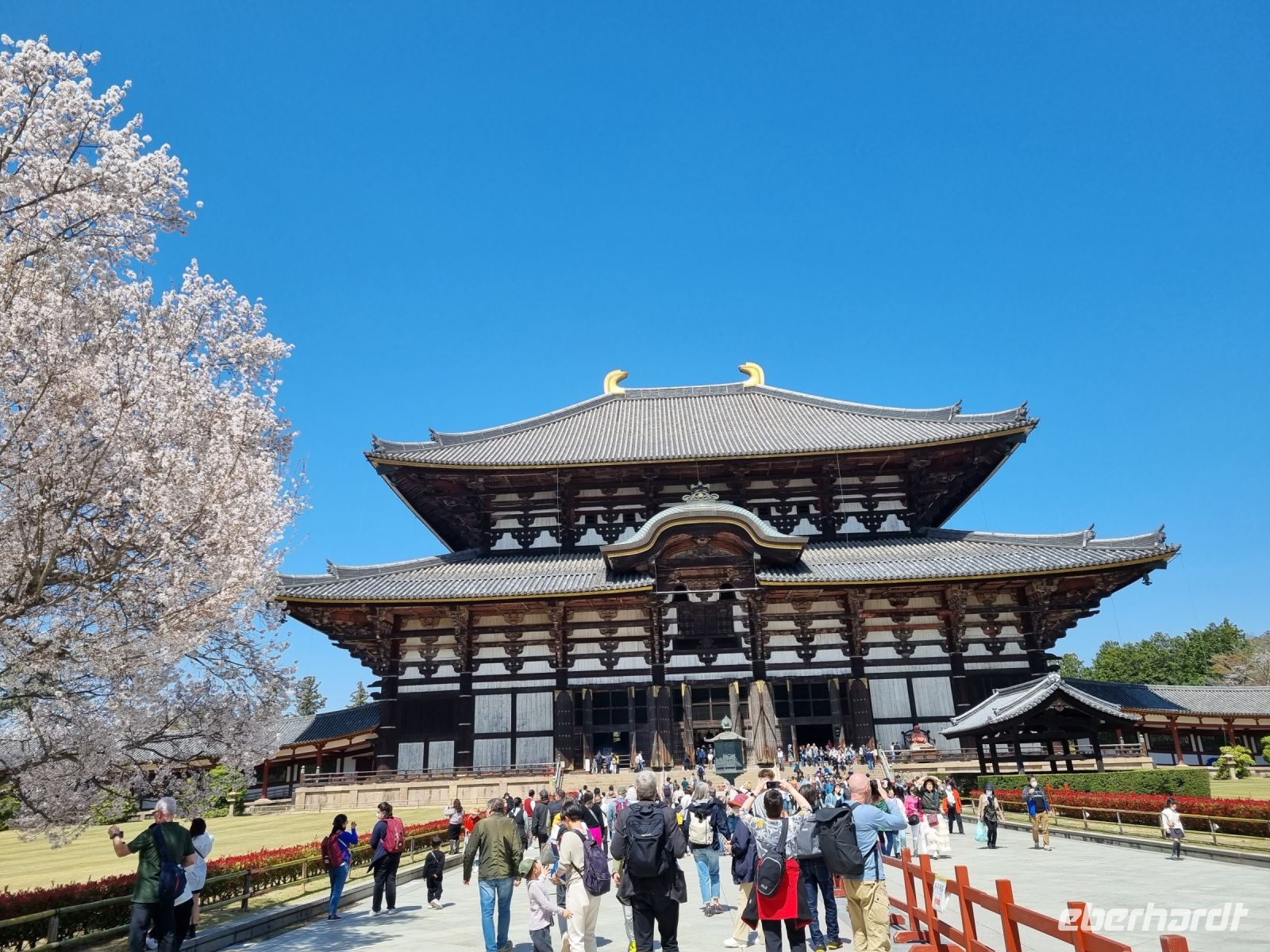 Nara - Todaiji-Tempel 