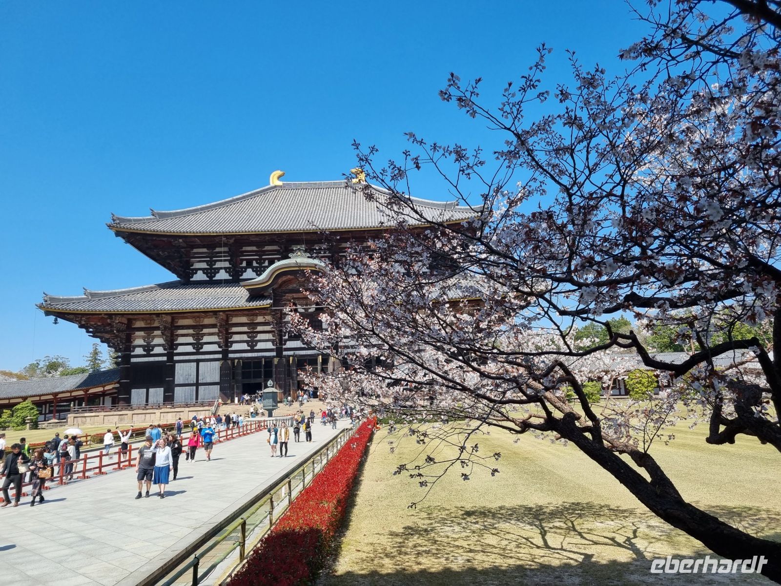 Nara - Todaiji-Tempel