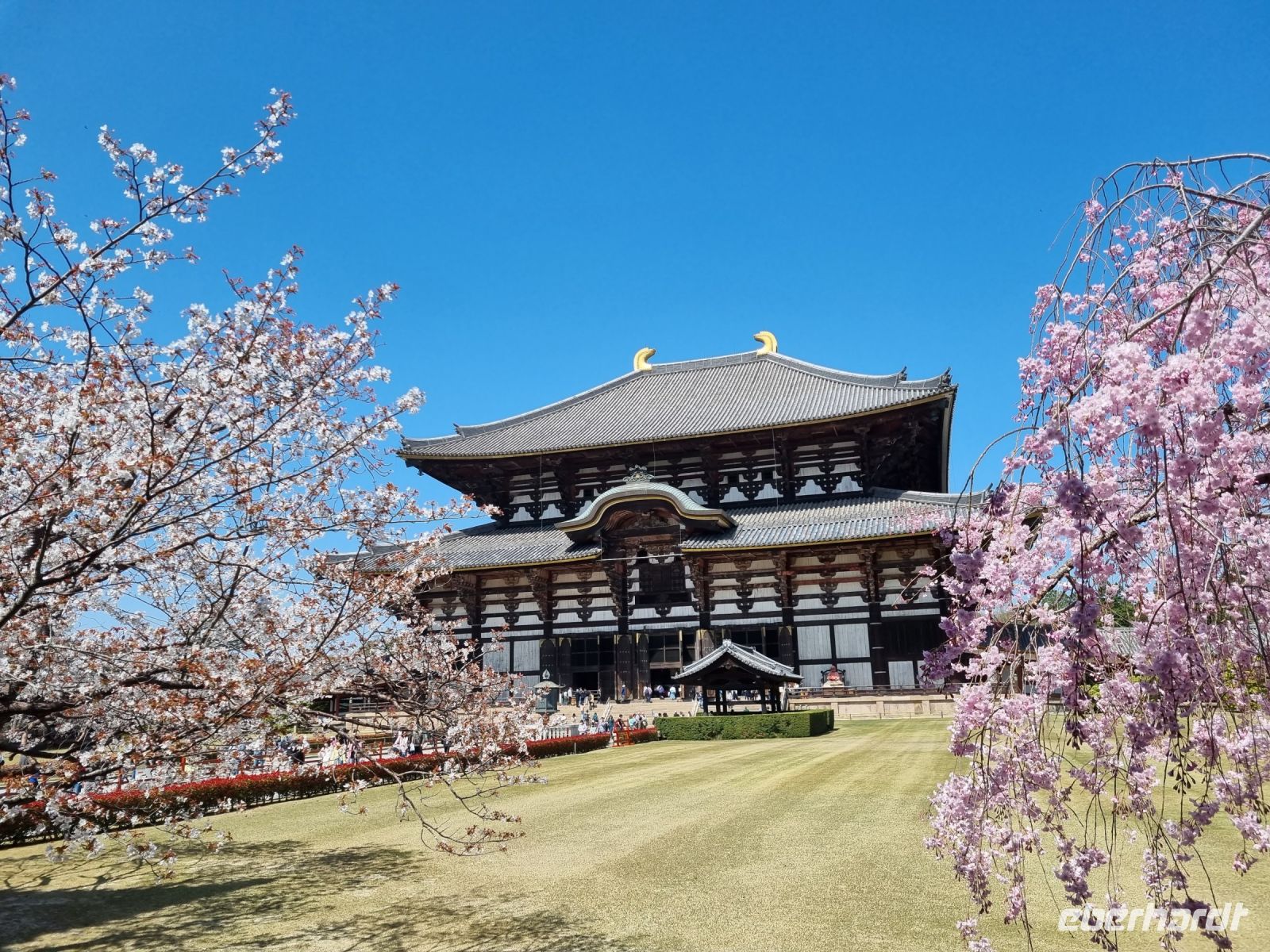 Nara - Todaiji-Tempel