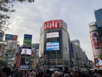 Shibuya Kreuzung