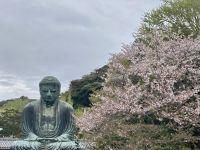 Großer Buddha Kamakura