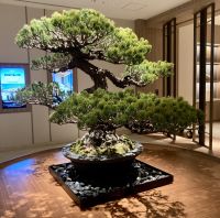 Hilton Hotel Hiroshima