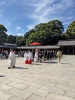 25. Hochzeit am Meiji-Schrein
