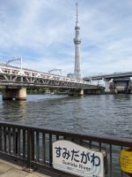 36. Picknick am Fluss Sumida
