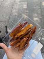 37. Picknick am Fluss Sumida