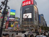 43. Shibuya-Kreuzung