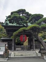 78. Hasedera Tempel Kamakura