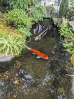 81. Hasedera Tempel Kamakura