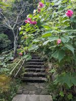 89. Hasedera Tempel Kamakura