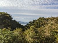 96. Fahrt durch de Bergwelt von Hakone