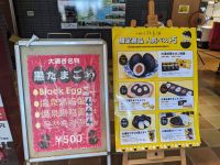 117. Schwarze Eier an den Schwefelquellen