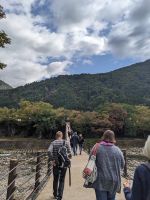 147. UNESCO-Welterbe-Dorf Shirakawago