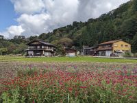159. UNESCO-Welterbe-Dorf Shirakawago