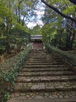 234. Ryoanji-Tempel Kyoto