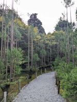 237. Ryoanji-Tempel Kyoto
