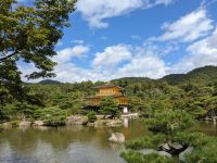 239. Goldener Pavillon (Kinkakuji, Kyoto)