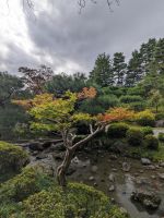 249. Heian-Schrein Kyoto