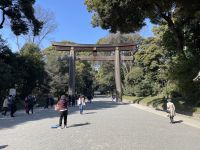 Besichtigung des Mejji Schrein - Tokio