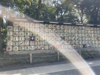 Besichtigung des Mejji Schrein - Tokio