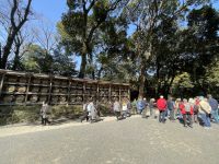 Besichtigung des Mejji Schrein - Tokio
